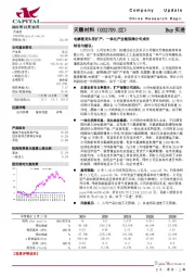 电解液龙头再扩产，一体化产业链保障公司成长