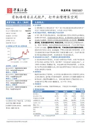 有机硅项目正式投产，打开业绩增长空间