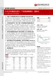 浙江鼎力点评报告:15亿元定增成功发行;产品更趋高端化、国际化