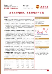 全年业绩超预期，未来持续成长可期