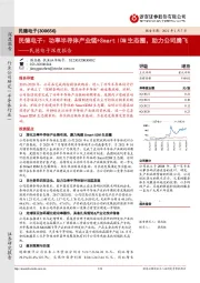 民德电子深度报告:民德电子:功率半导体产业链+Smart IDM生态圈,助力公司腾飞