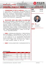 公司深度报告：政务软件搭台，企业级SaaS“唱大戏”
