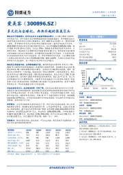 多元化与全球化,冉冉升起的医美巨头