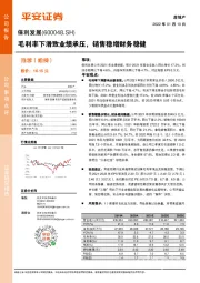 毛利率下滑致业绩承压，销售稳增财务稳健