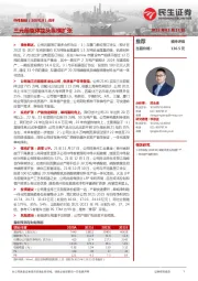 点评：三元前驱体龙头纵横扩张