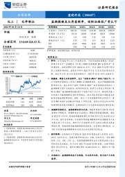 盐湖提锂龙头再签新单，吸附法路径广受认可