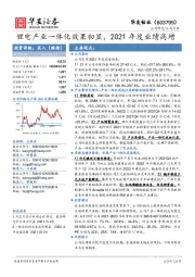 锂电产业一体化效果初显，2021年度业绩高增