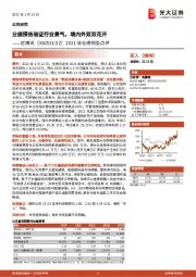 2021年业绩预告点评:业绩预告验证行业景气,境内外双双花开