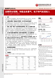 凯美特气点评报告:业绩符合预期;传统业务景气、电子特气实现收入