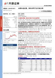 公司信息更新报告：业绩加速发展，锂电材料平台价值凸显