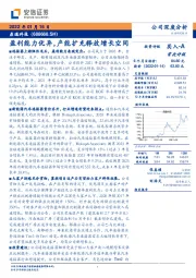 盈利能力优异，产能扩充释放增长空间