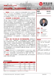 公司点评:业绩大超预期,收入端创历史新高
