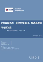 公司点评报告:业绩表现优异,业务持续优化,推动高质量可持续发展