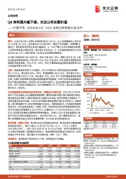 2021年度业绩预增公告点评：Q4净利润大幅下滑，关注公司长期价值