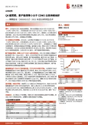 2021年度业绩预告点评:Q4超预期,新产能保障小分子CDMO业务持续向好
