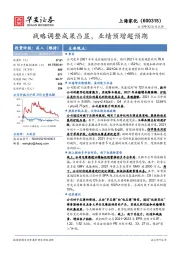 战略调整成果凸显，业绩预增超预期