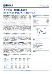 国内电子测量仪器领先厂商，业绩驶入加速期