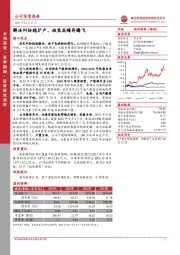 解决纠纷稳扩产、破茧成蝶再腾飞