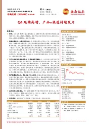 Q4延续高增，产品+渠道持续发力