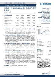 业绩预告点评：电解液一体化龙头地位稳固，新品类产品增量明显