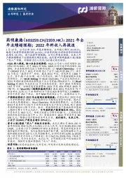 2021年全年业绩超预期;2022年料收入再提速