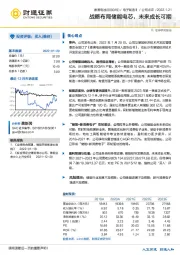 战略布局储能电芯，未来成长可期