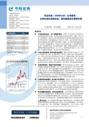 公司报告：水利自动化老牌企业，锂电储能成为新增长极