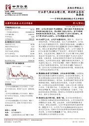 公司点评报告：行业景气推动业绩大增，新材料业务积极推进