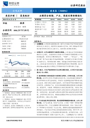 业绩符合预期，产品、渠道优势持续强化