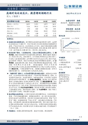 高端时尚运动龙头，提质增效领跑行业