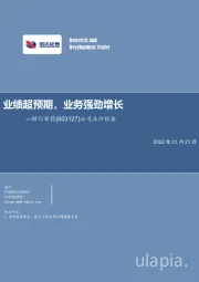 公司点评报告：业绩超预期，业务强劲增长