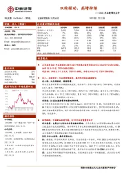 2021年业绩预告点评：双轮驱动，高增持续