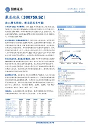 收入增长强劲,新业务成长可期