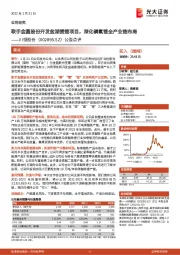 公告点评：联手金圆股份开发盐湖提锂项目，深化磷氟锂全产业链布局