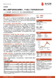 2021年度业绩预告点评:磷化工高景气度助推业绩增长,产业链上下延伸拓宽成长空间
