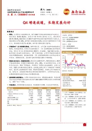 Q4增速放缓，长期发展向好