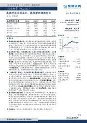 高端时尚运动龙头，提质增效领跑行业