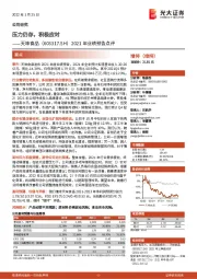2021年业绩预告点评:压力仍存,积极应对