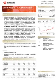 高冰镍项目落地，公司打开成长天花板