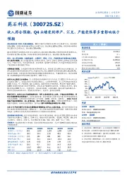 收入符合预期，Q4业绩受到停产、汇兑、产能受限等多重影响低于预期