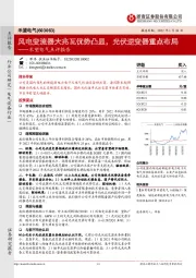 禾望电气点评报告：风电变流器大兆瓦优势凸显，光伏逆变器重点布局