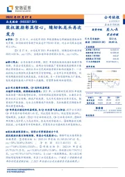 股权激励彰显信心,缝纫机龙头再次发力