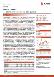 投资价值分析报告：趁势东风，一骑绝尘