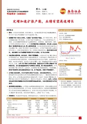 定增加速扩张产能，业绩有望高速增长