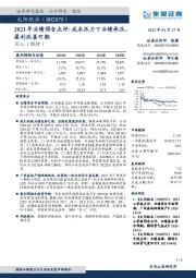 2021年业绩预告点评:成本压力下业绩承压,盈利改善可期