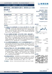 业绩预告点评:辅料价格上涨短期影响盈利,前驱体龙头份额持续提升