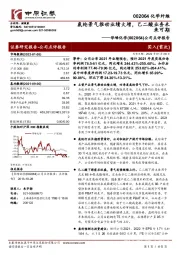 公司点评报告:氨纶景气推动业绩大增,己二酸业务未来可期