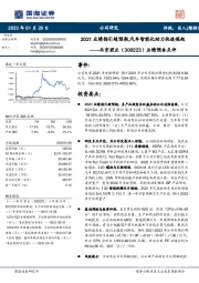 业绩预告点评：2021业绩指引超预期，汽车智能化助力快速崛起