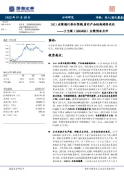 业绩预告点评：2021业绩指引符合预期，看好产品结构持续优化