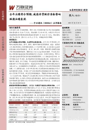 点评报告：全年业绩符合预期，减值存货跌价准备影响短期业绩表现